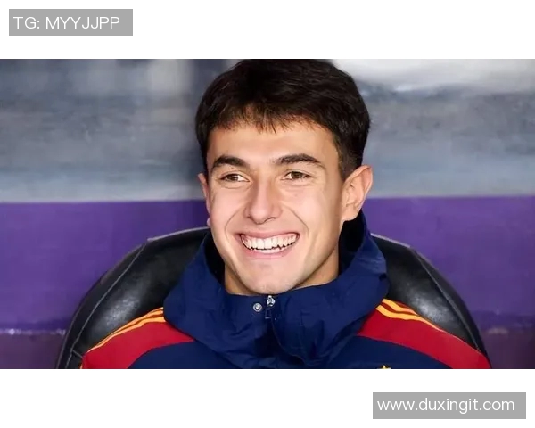 全球足球明星的摇篮哪个国家培养了最多的足球天才